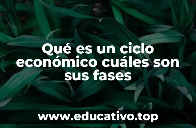 Qué es un ciclo económico cuáles son sus fases