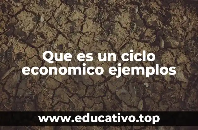 Que es un ciclo economico ejemplos