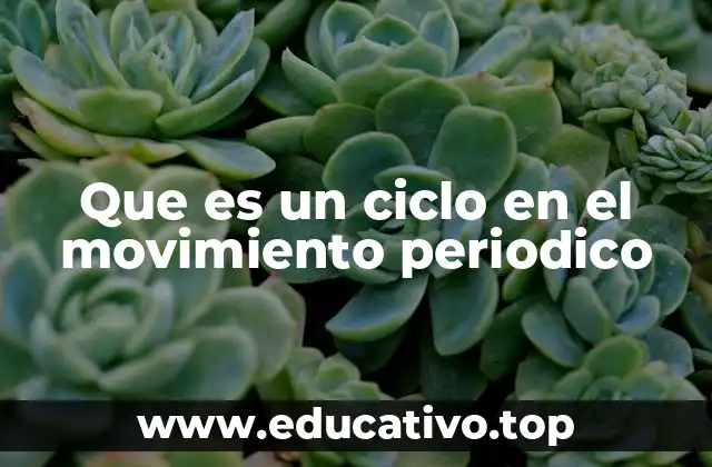 Que es un ciclo en el movimiento periodico