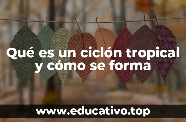 Qué es un ciclón tropical y cómo se forma