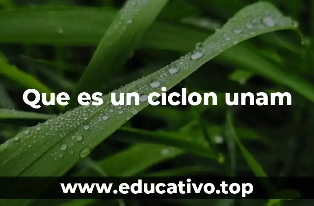 Que es un ciclon unam