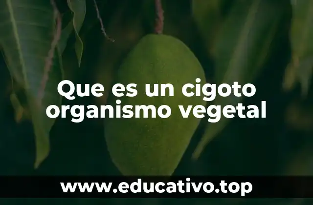 Que es un cigoto organismo vegetal