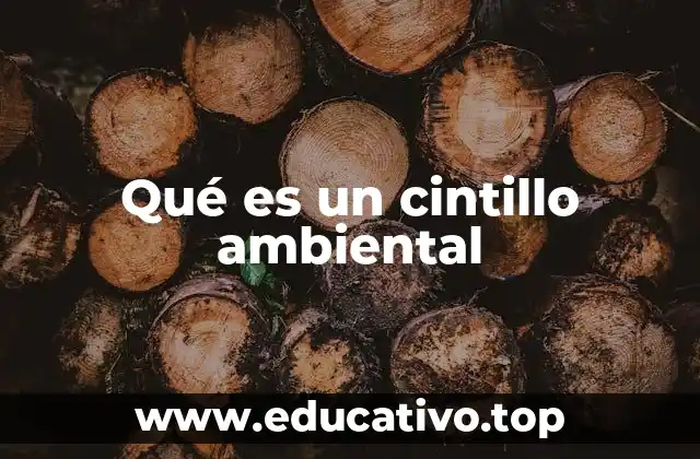 Qué es un cintillo ambiental