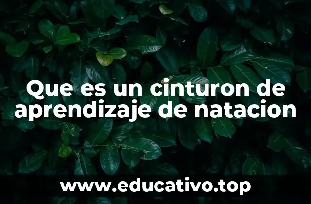 Que es un cinturon de aprendizaje de natacion