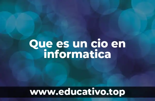 Que es un cio en informatica