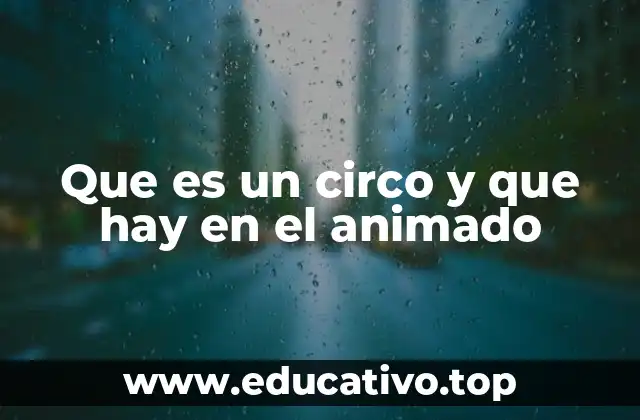Que es un circo y que hay en el animado