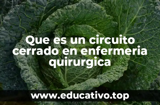 Que es un circuito cerrado en enfermeria quirurgica