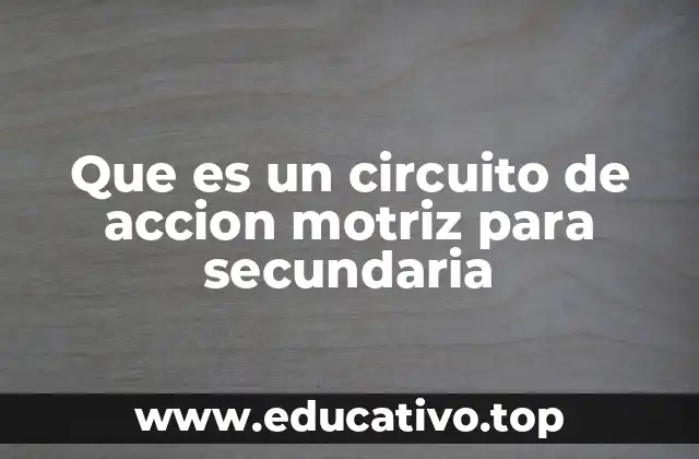 Que es un circuito de accion motriz para secundaria