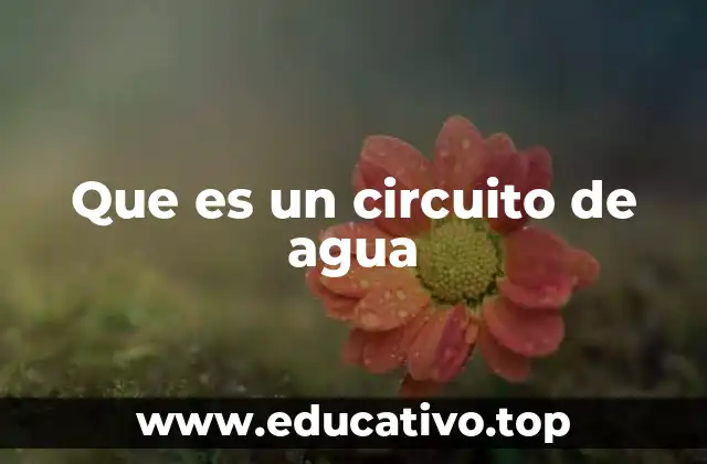 Que es un circuito de agua