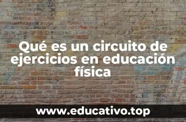 Qué es un circuito de ejercicios en educación física