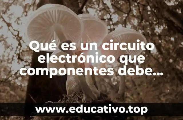 Qué es un circuito electrónico que componentes debe tener