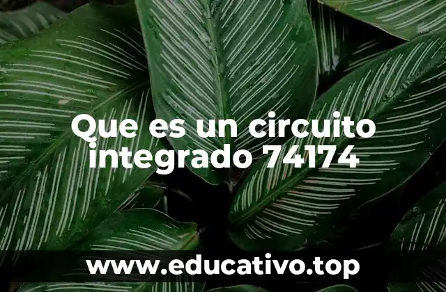 Que es un circuito integrado 74174
