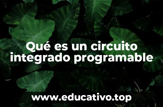 Qué es un circuito integrado programable