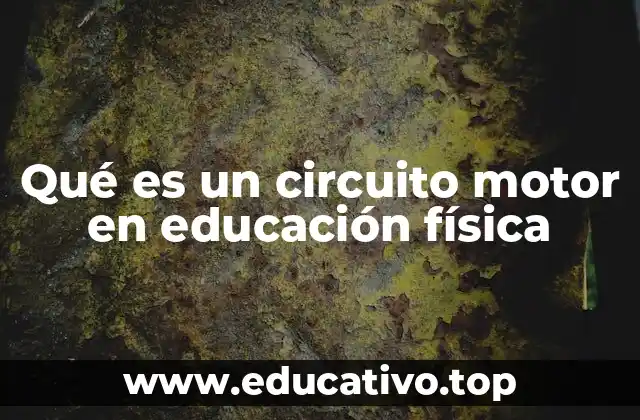 Qué es un circuito motor en educación física