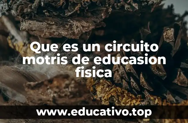 Que es un circuito motris de educasion fisica