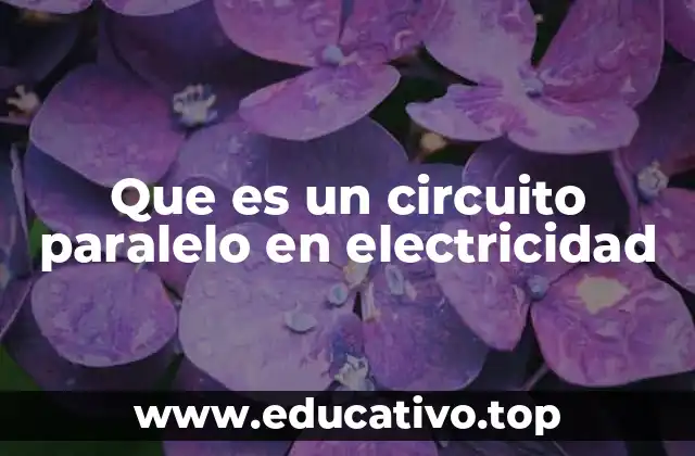 Que es un circuito paralelo en electricidad