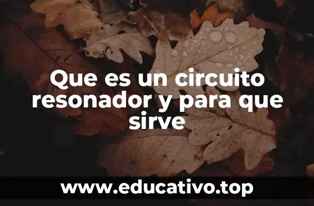 Que es un circuito resonador y para que sirve