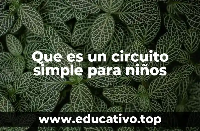 Que es un circuito simple para niños