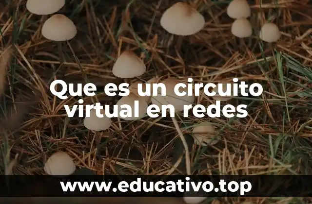 Que es un circuito virtual en redes
