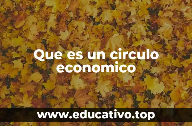 Que es un circulo economico