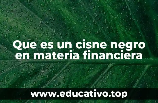 Que es un cisne negro en materia financiera