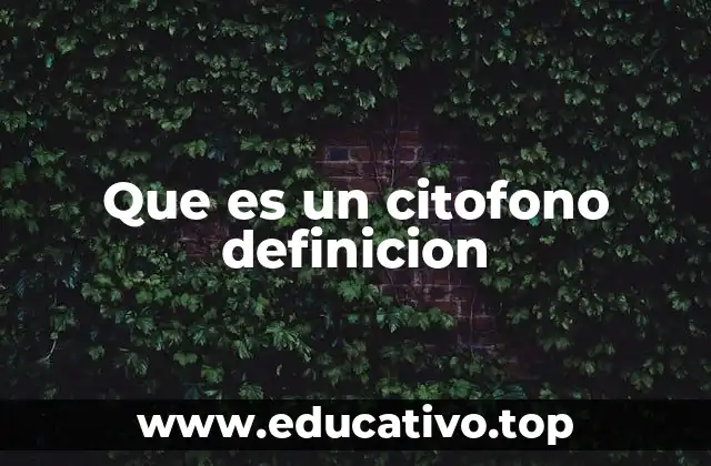 La importancia del citófono en la seguridad de los edificios