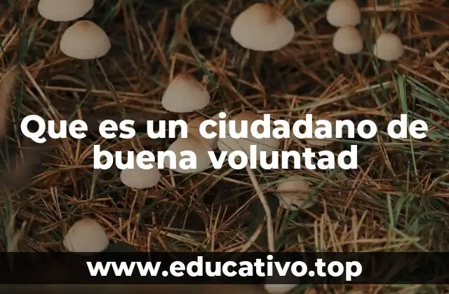 Que es un ciudadano de buena voluntad