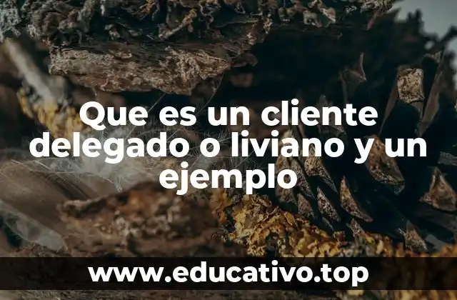 El funcionamiento detrás de los clientes livianos