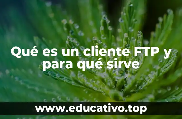 Qué es un cliente FTP y para qué sirve
