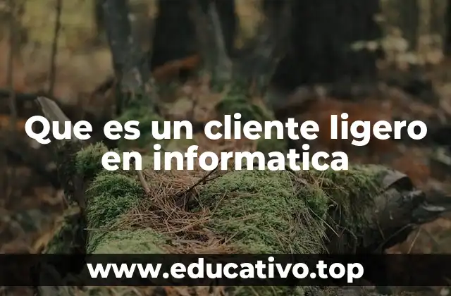 Que es un cliente ligero en informatica