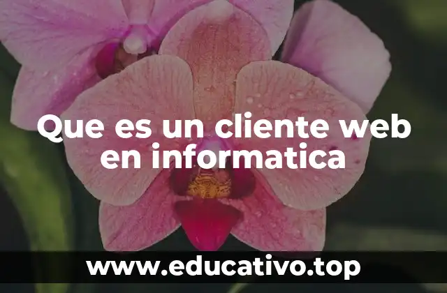 Que es un cliente web en informatica