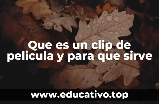 Que es un clip de pelicula y para que sirve