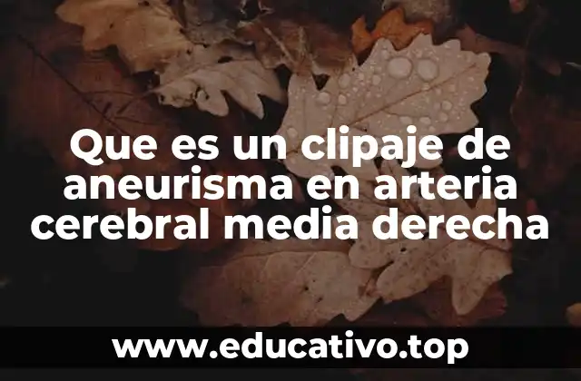 Que es un clipaje de aneurisma en arteria cerebral media derecha