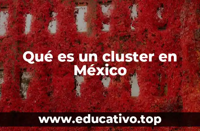 Qué es un cluster en México