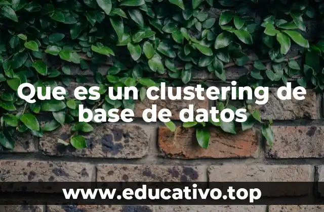 Que es un clustering de base de datos