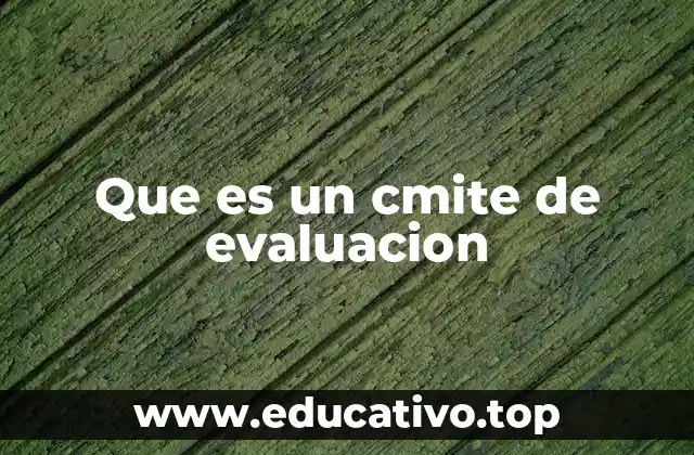 Que es un cmite de evaluacion