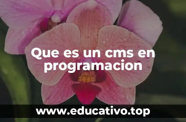 Que es un cms en programacion