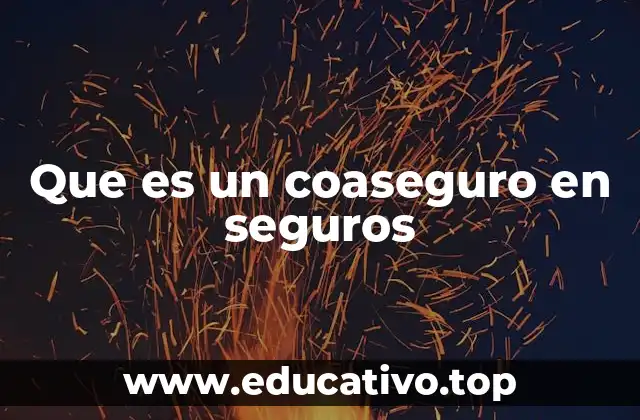 Que es un coaseguro en seguros