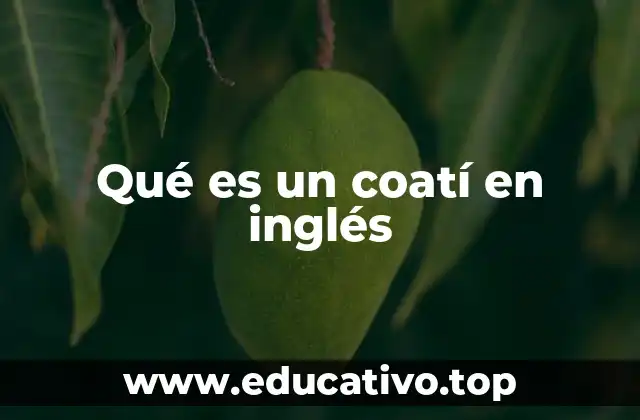 Características del coatí que lo distinguen del resto de los mustélidos
