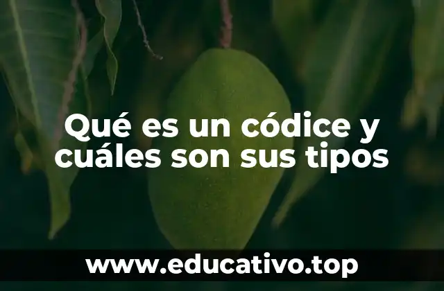 Qué es un códice y cuáles son sus tipos