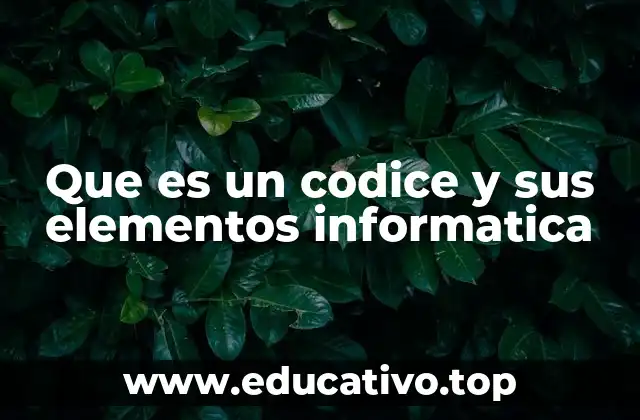 Que es un codice y sus elementos informatica