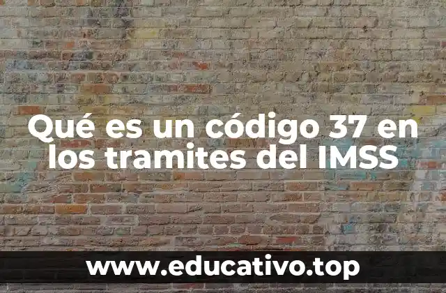 Qué es un código 37 en los tramites del IMSS