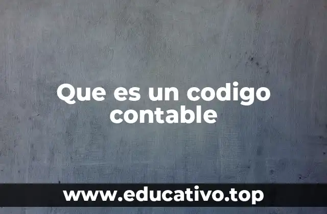 Que es un codigo contable