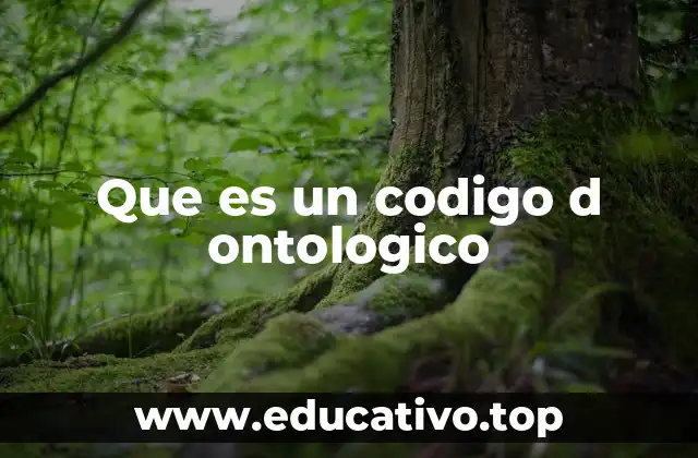 Que es un codigo d ontologico