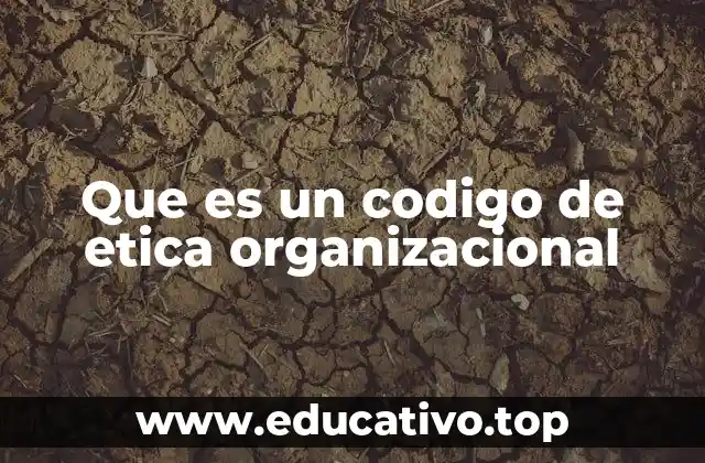 Que es un codigo de etica organizacional