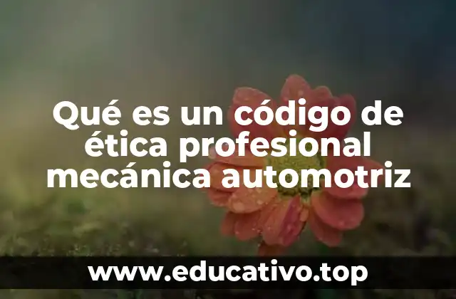 Qué es un código de ética profesional mecánica automotriz