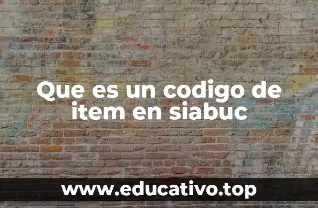 Que es un codigo de item en siabuc