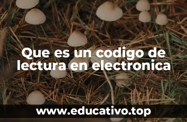 Que es un codigo de lectura en electronica