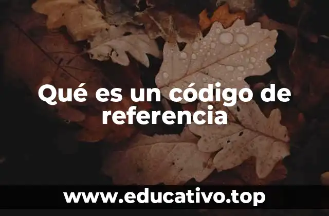 Qué es un código de referencia