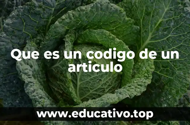 Que es un codigo de un articulo